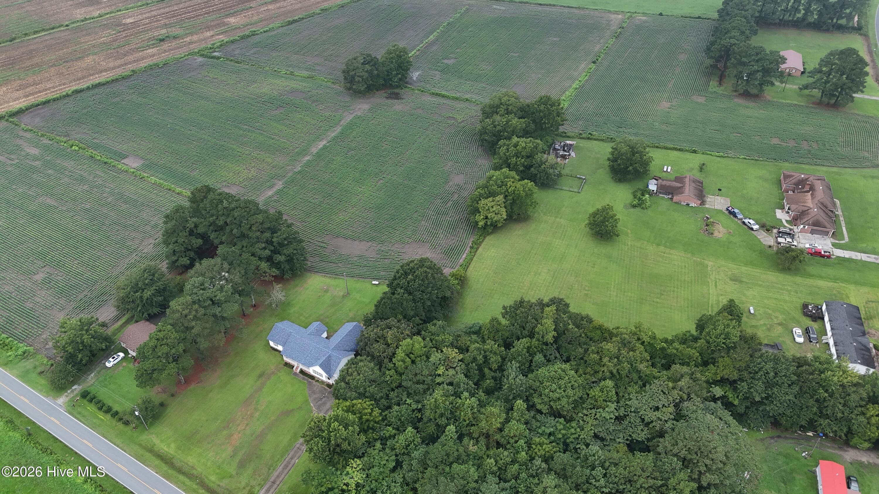 Agriculture at Near 128 Bay Rd., Rose Hill, NC 28458, photo 17 of 21