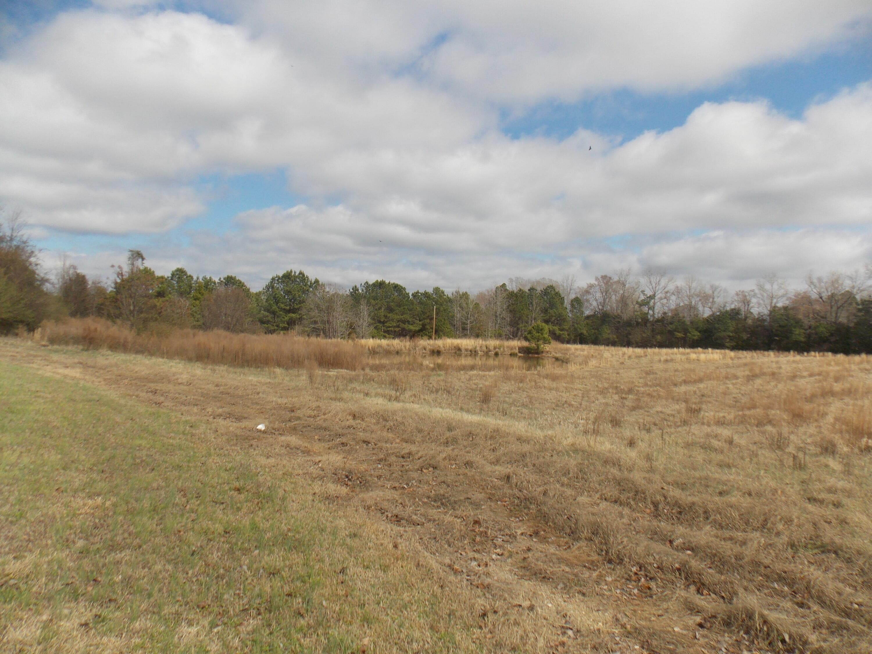 Agriculture at 4232 Double Branches Road, Lincolnton, GA 30817, photo 2 of 16