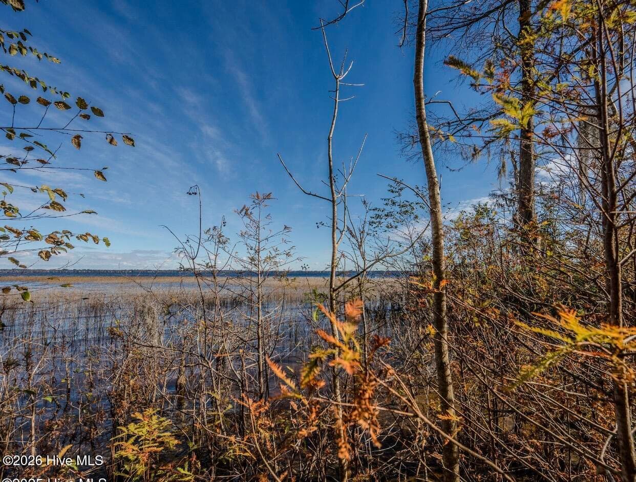 Residential Land at 137-140 137-140 Near 3461 Waccamaw Road S, Lake Waccamaw, NC 28450, photo 10 of 17