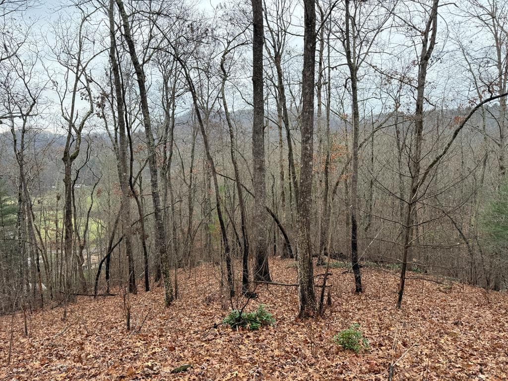 0 Flaming Ridge, Hayesville, NC 28904