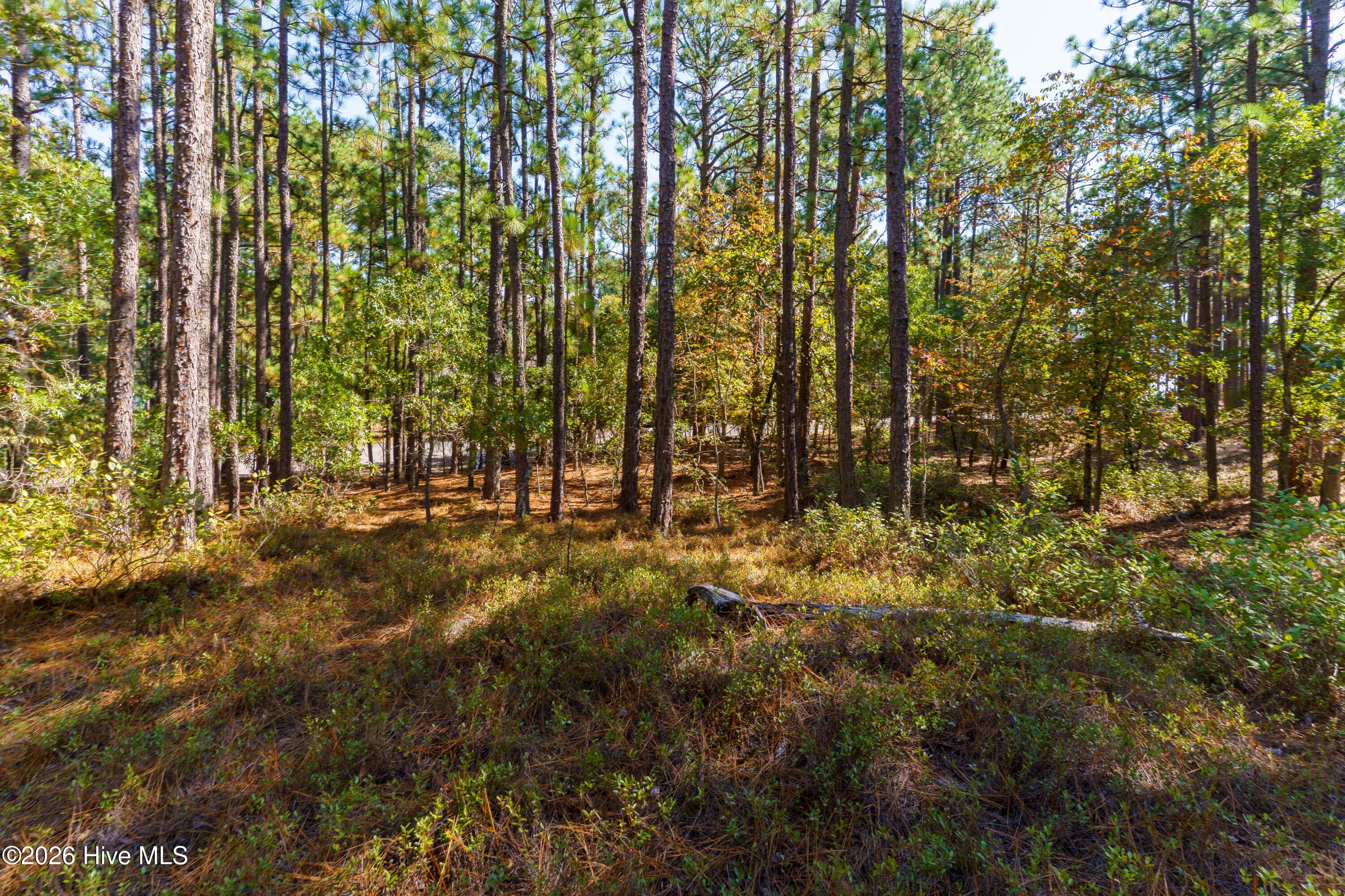 Residential Lot at 134 Vanore Road, West End, NC 27376, photo 2 of 4