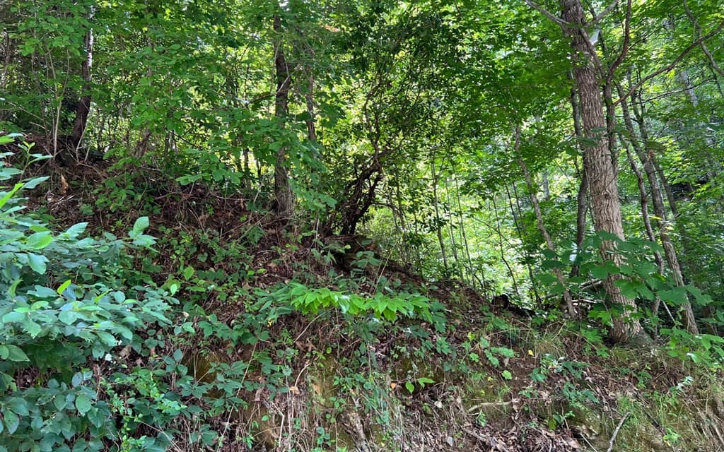 Land at Lot 77 77 Fires Creek Cove, Hayesville, NC 28904, Hayesville, photo 15 of 19