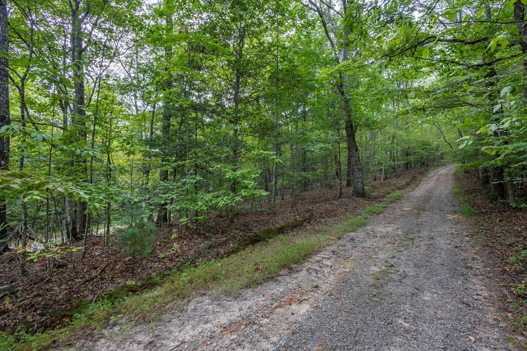 Residential Lot at 2 Ac 6 Horvath Road, Murphy, NC 28906, photo 8 of 12