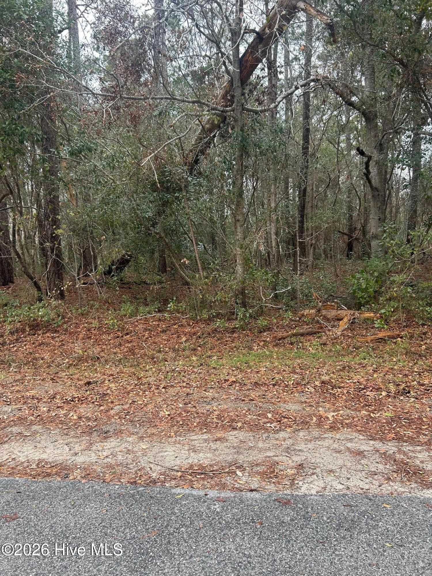 103 38 Dogwood Lane, Sneads Ferry, NC 28460