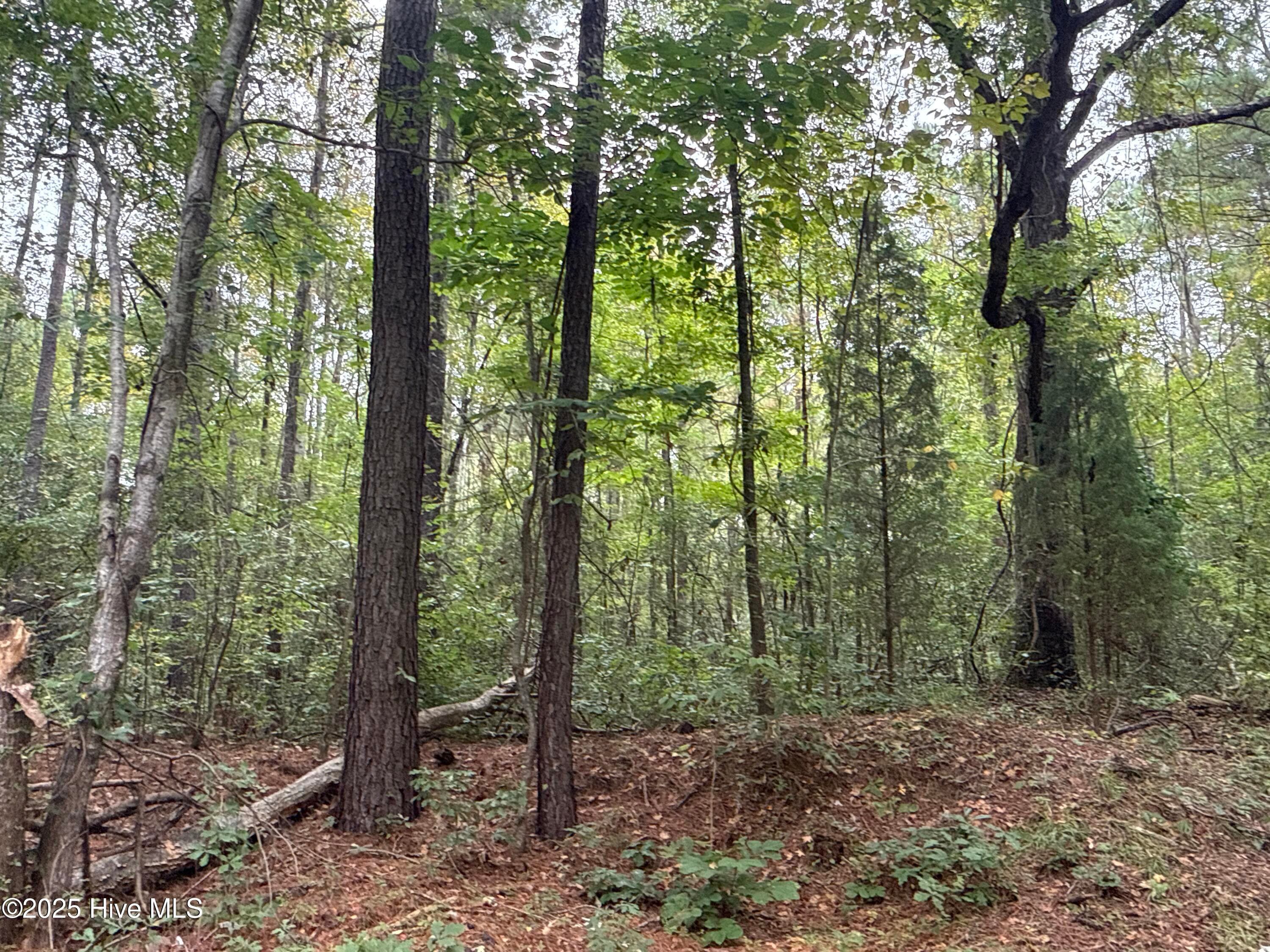 Recreation at 0 Creekmur Road, Edward, NC 27821, photo 6 of 13