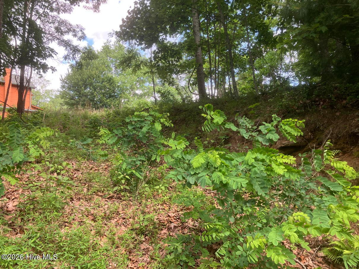 Residential Lot at Lot 51 51 Buck Ridge Drive, Murphy, NC 28906, photo 6 of 10