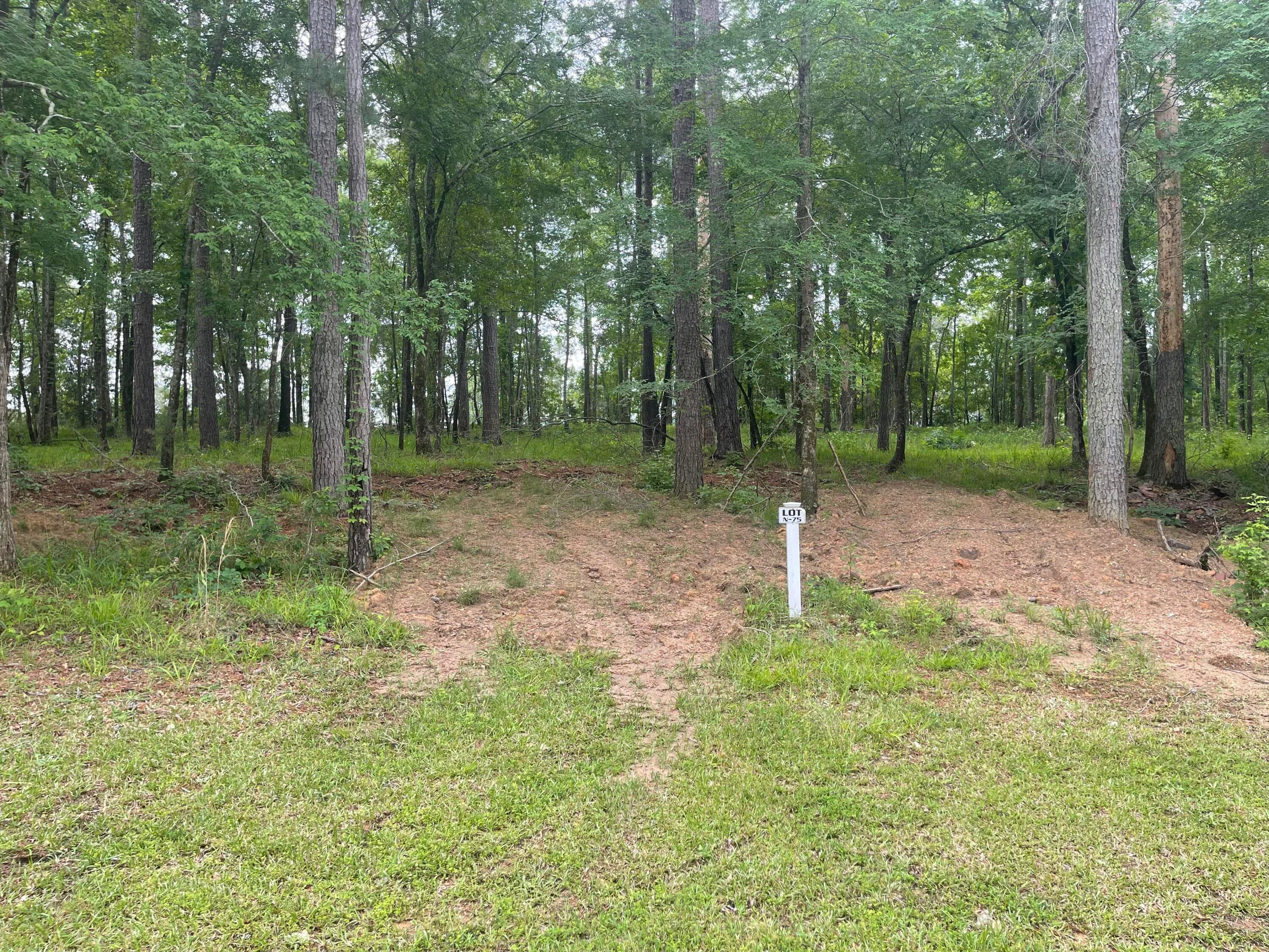 N-75 Eutaw Springs Trail, North Augusta, SC 29860