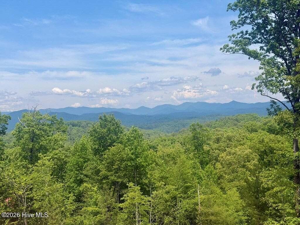 Single Family Residence at 50 Hideout Lane, Murphy, NC 28906, photo 2 of 19