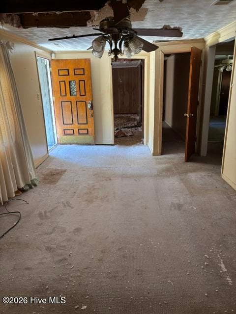living room - 293 Sunshine Road, Blackville, SC 29817