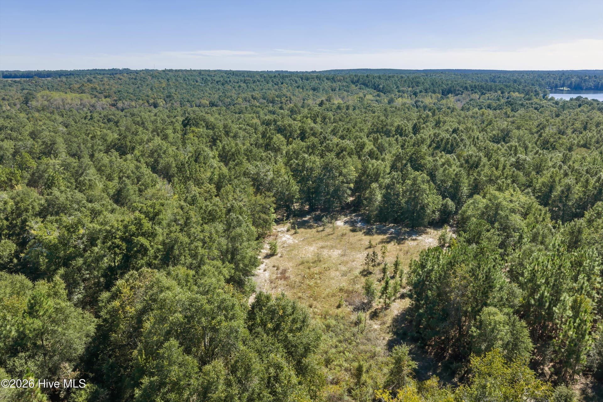 Residential Lot at 000.0 Mary Rawls Road, Wagener, SC 29164, photo 6 of 21