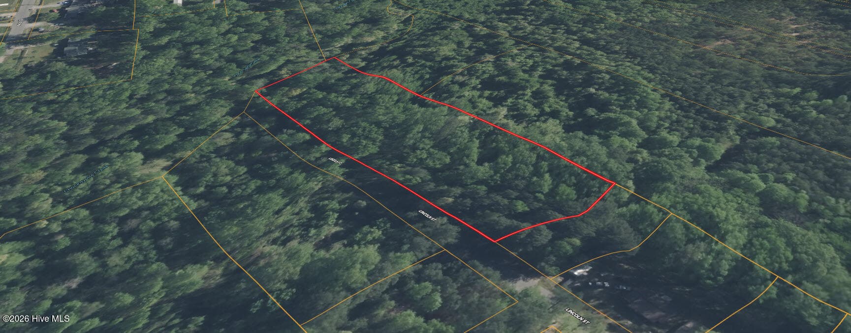 Undeveloped at 0 Lincoln Street, Roanoke Rapids, NC 27870, photo 5 of 7