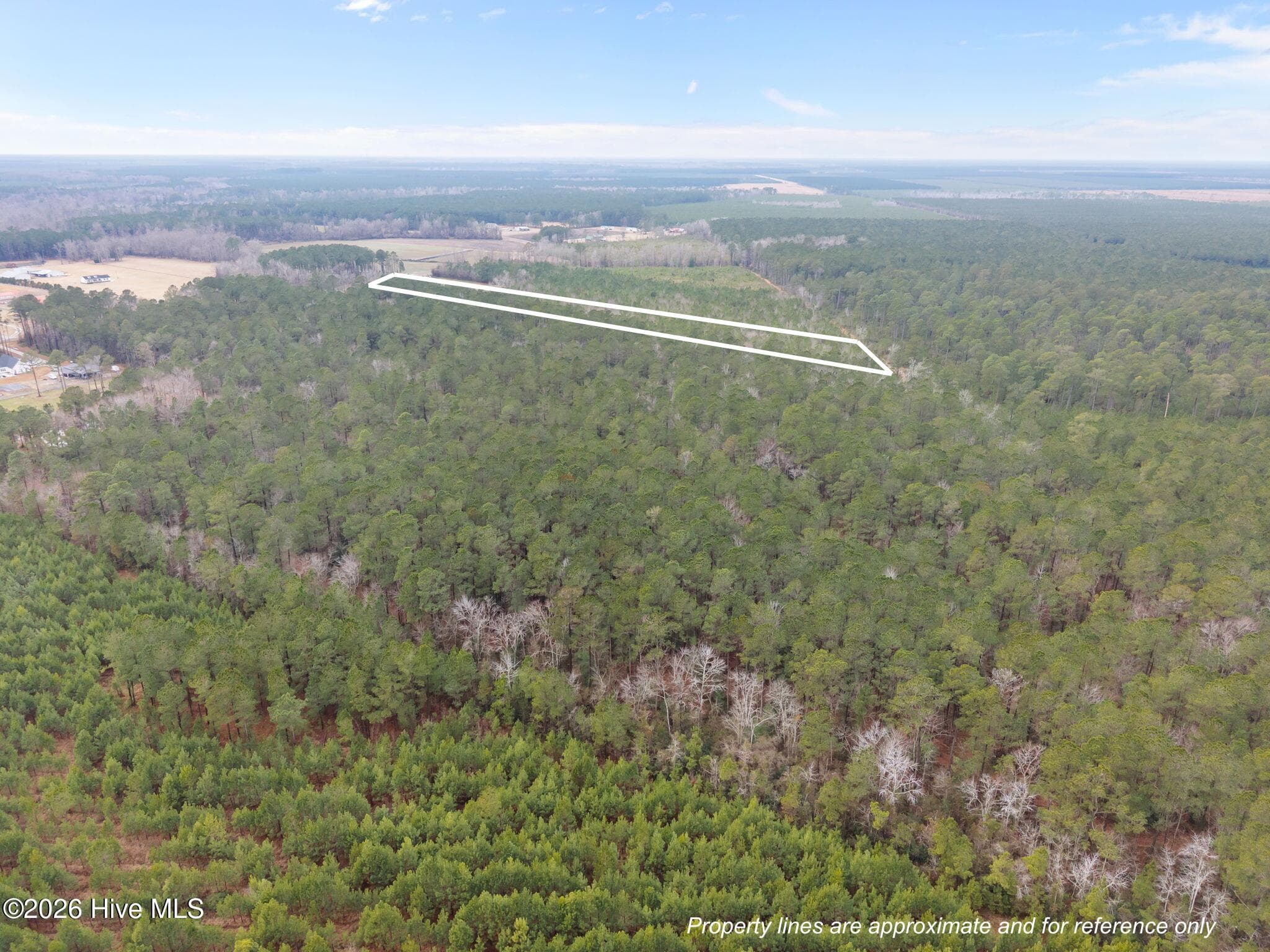 Undeveloped at 1363 n/a Deppe Loop Road, Maysville, NC 28555, photo 6 of 8