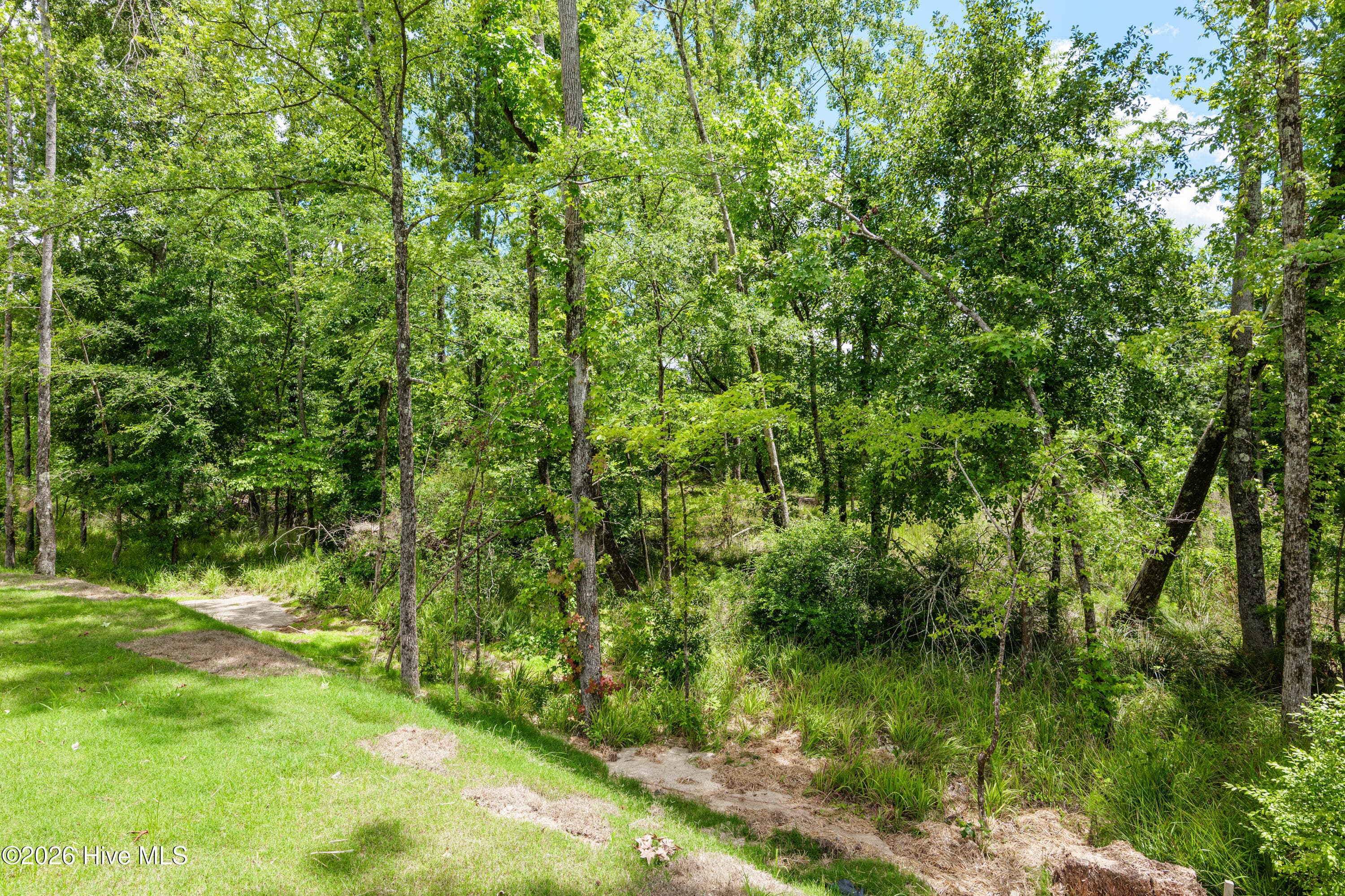 Backyard/Greenspace - 687 Ronaldsay Road, Grovetown, GA 30813