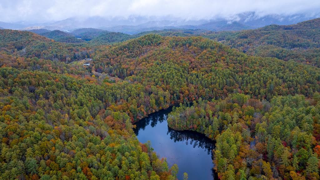3549p Snowbird Road, Robbinsville, NC 28771
