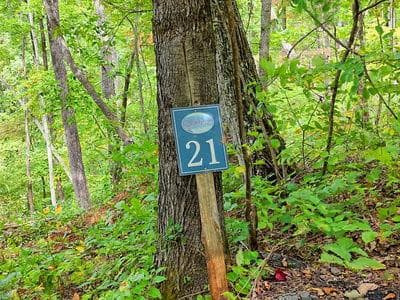 Lot 21 21 Skyview, Hayesville, NC 28904