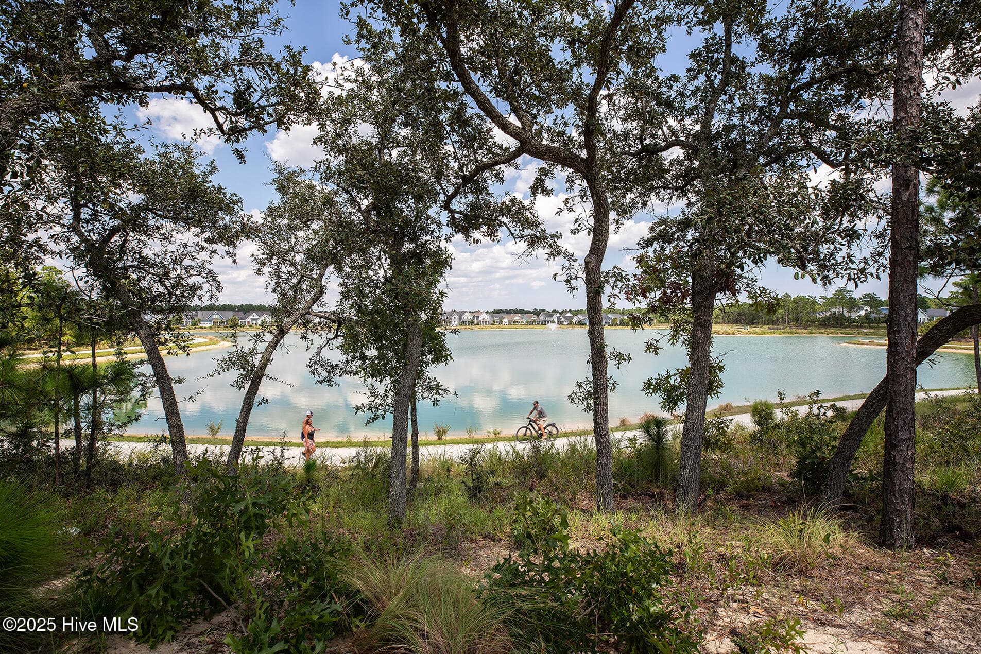 Single Family Residence at 713 Cecil Point, Wilmington, NC 28412, photo 6 of 82