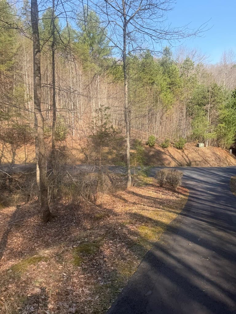 Land at Lot 12 Rainbow Valley Drive, Murphy, NC 28906, photo 9 of 16