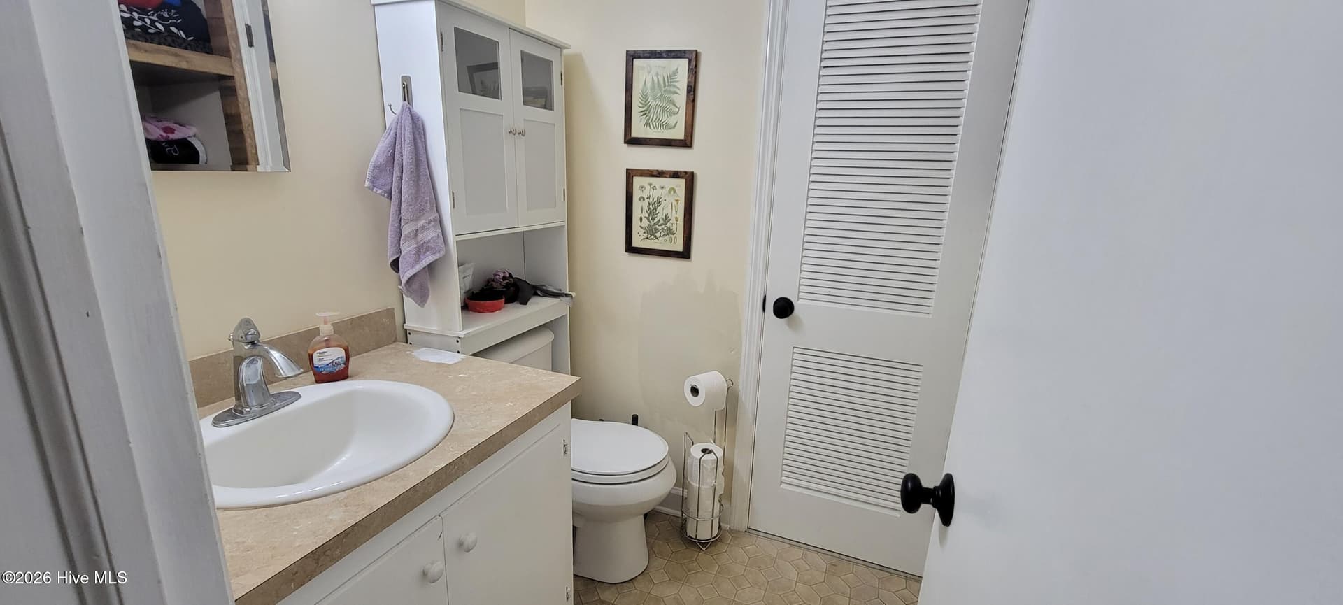 Bath Entry from Hallway. Items not included - 110 Landon Drive, Washington, NC 27889