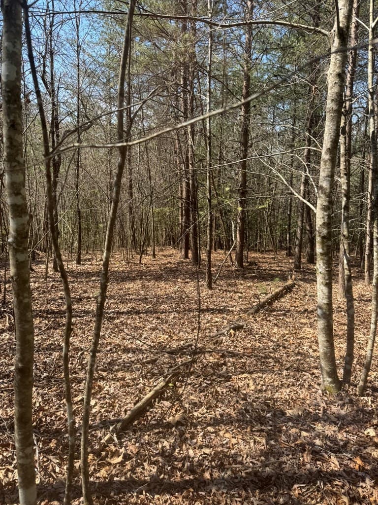 Residential Lot at 00 Blue Ridge Heights, Hayesville, NC 28906, Hayesville, photo 7 of 11