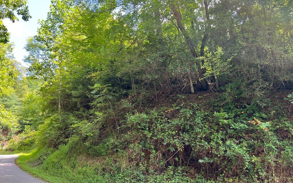 Land at Lot 77 77 Fires Creek Cove, Hayesville, NC 28904, Hayesville, photo 19 of 19