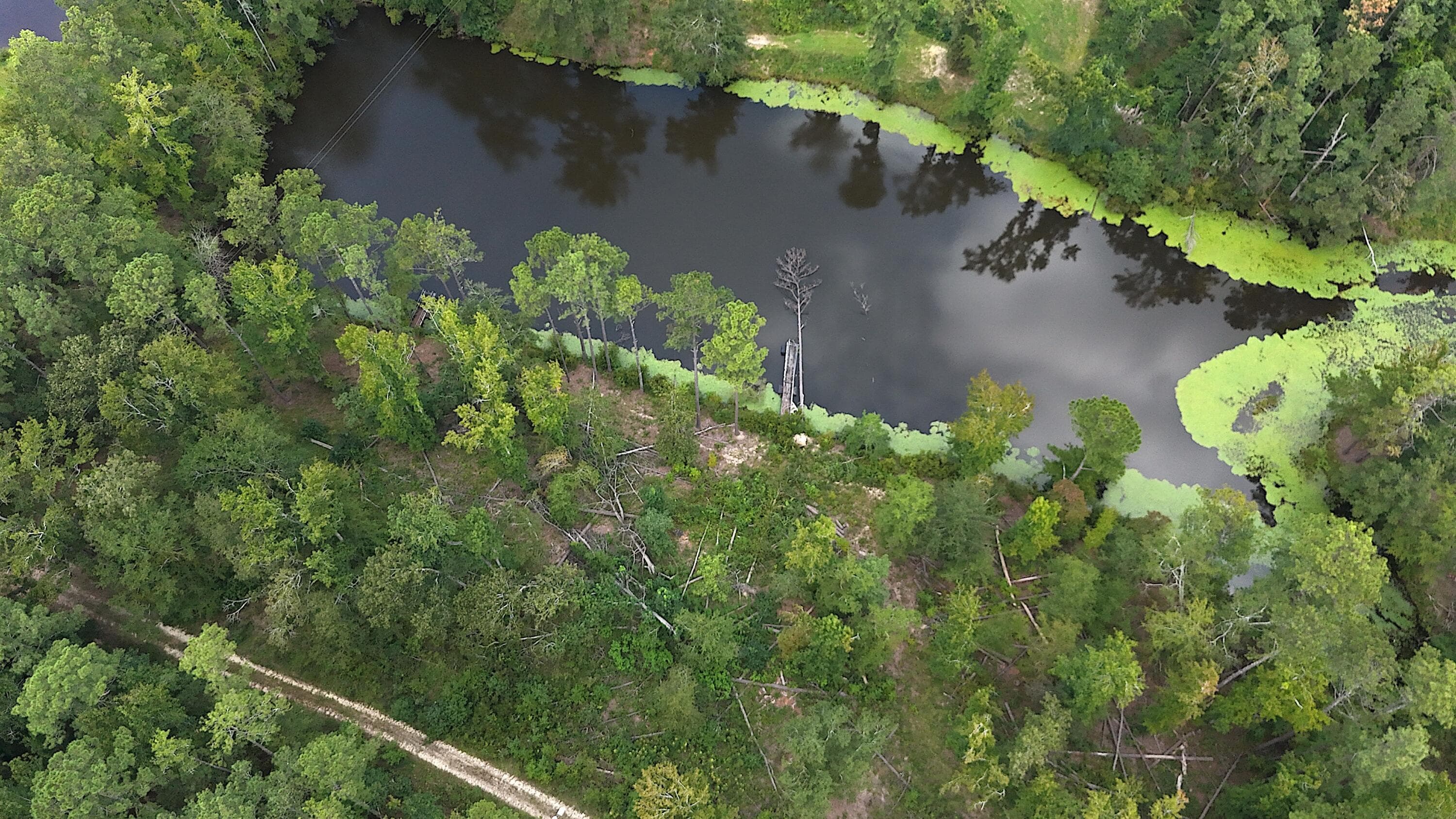 0 Hummingbird Drive, Trenton, SC 29847