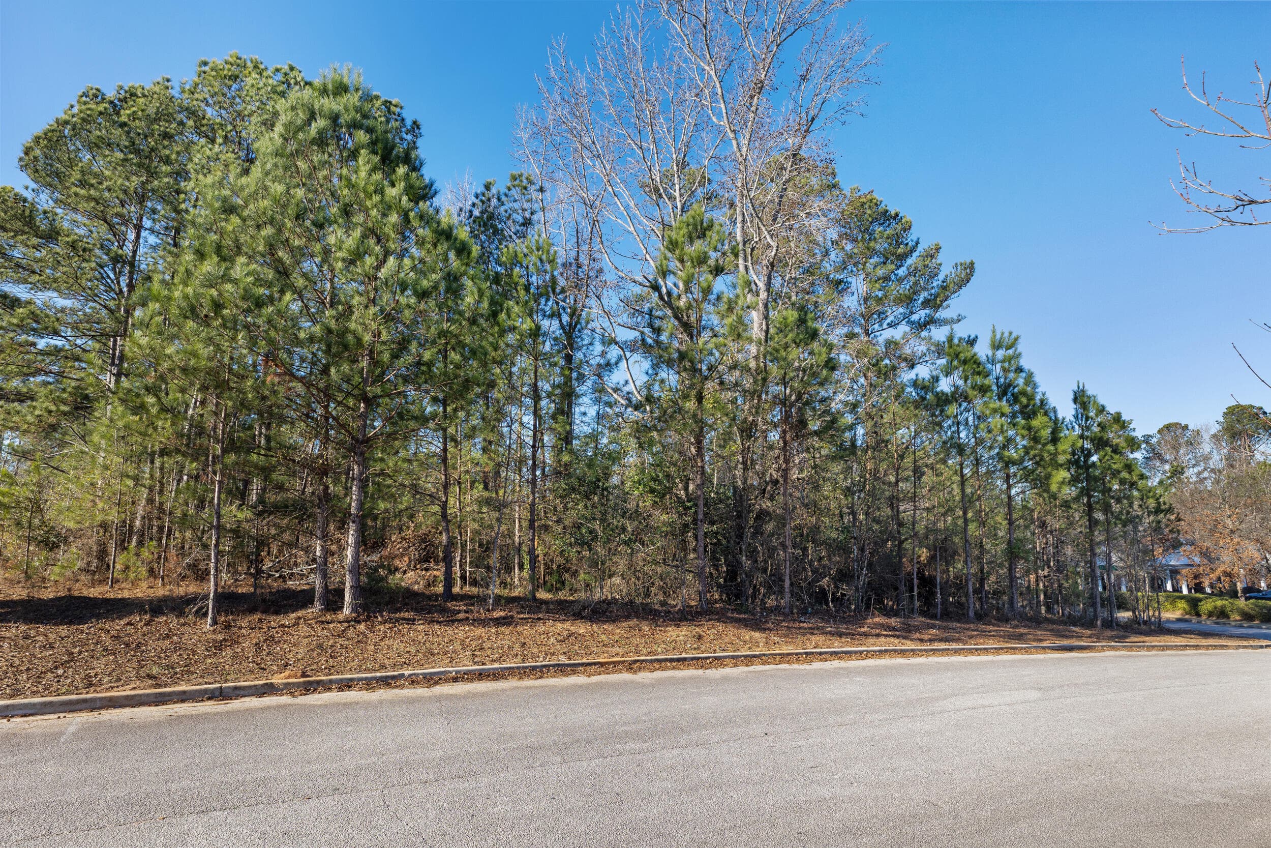 Unimproved Land at 801 Swindell Court, Evans, GA 30809, photo 2 of 10