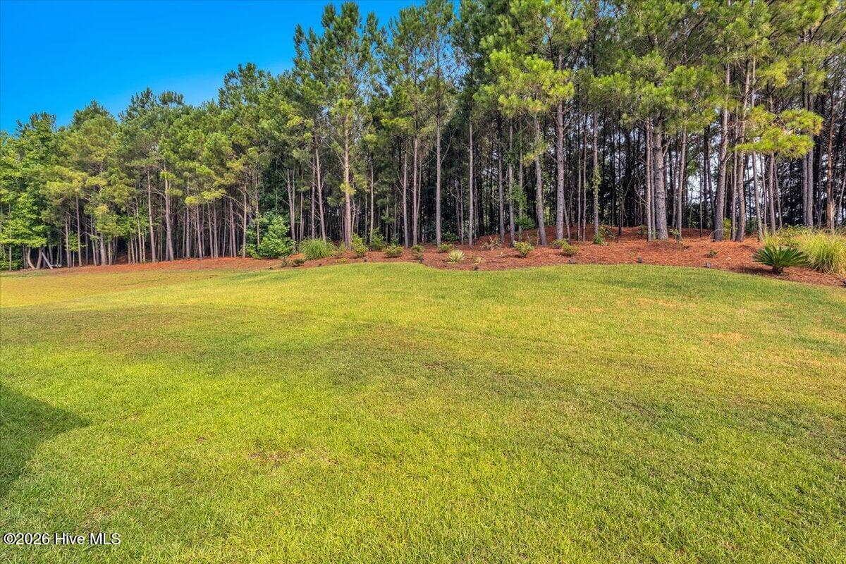 Single Family Residence at 1320 N Fisher King Drive SE, Bolivia, NC 28422, photo 50 of 68