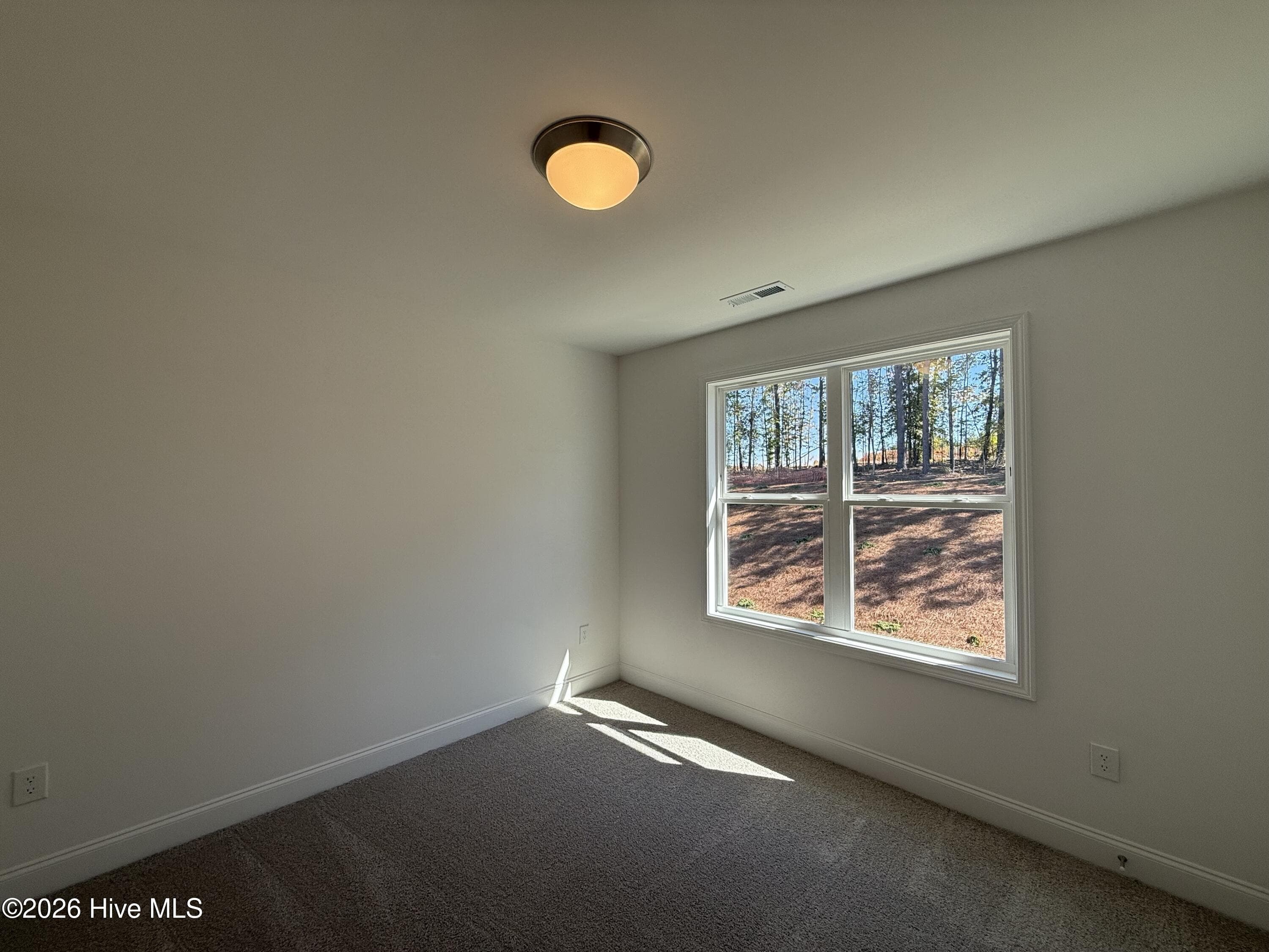 Single Family Residence at 122 Cinnabar Street, Clayton, NC 27520, photo 31 of 46