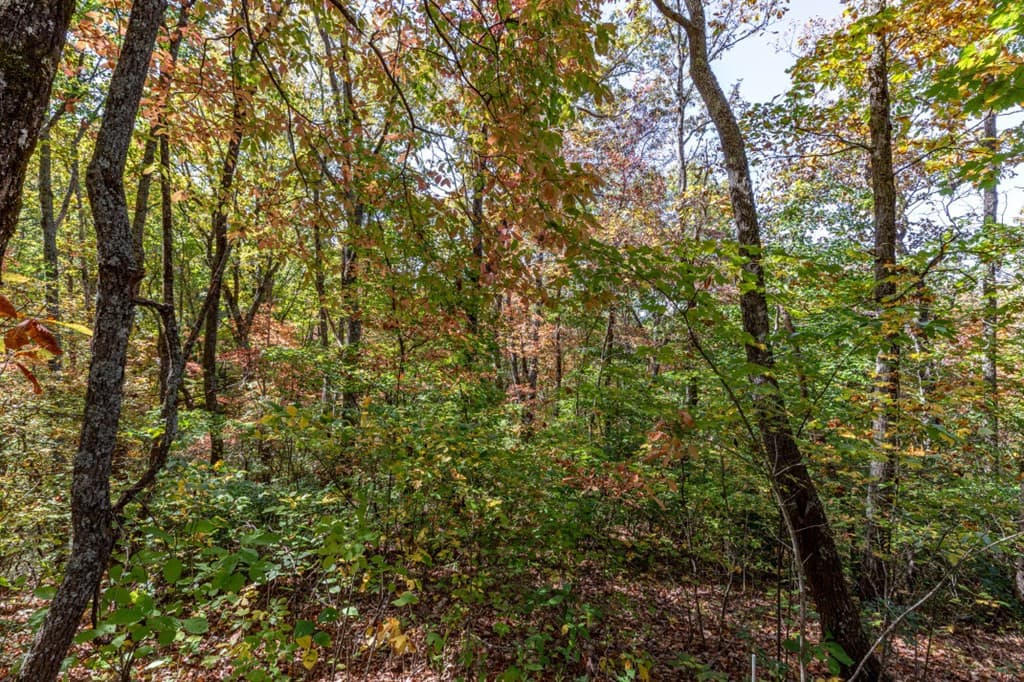 Undeveloped at Lot 38 38 Skyview At Wildlife Acres, Hayesville, NC 28904, Hayesville, photo 12 of 32