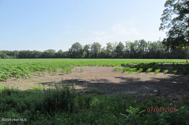 Farm at 203 E Rockingham Road, Maxton, NC 28364, photo 2 of 2