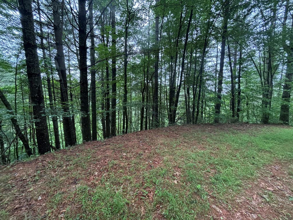Land at Lot 11 Horse Camp Drive, Hayesville, NC 28904, Hayesville, photo 6 of 11