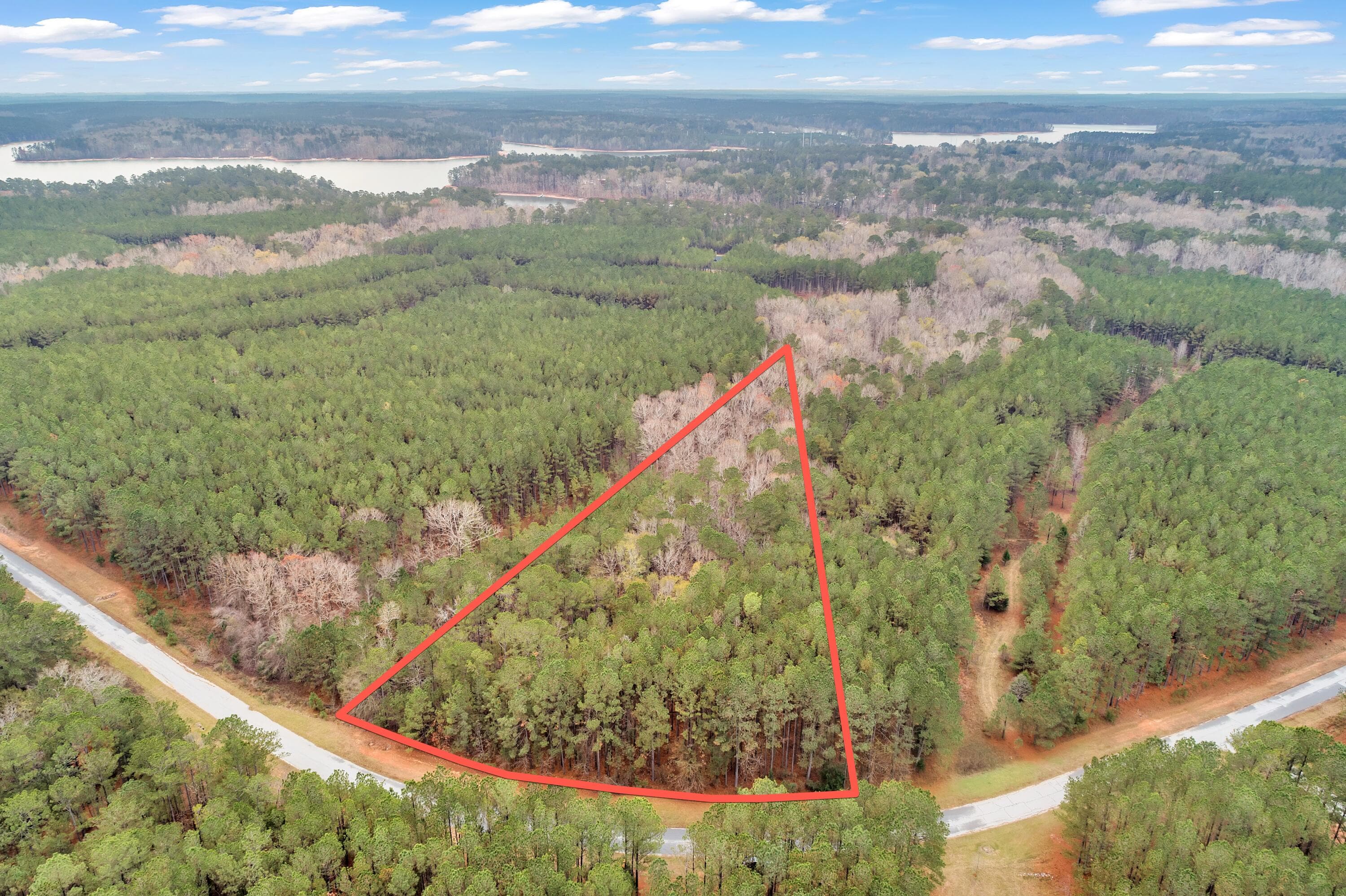 Residential Lot at 1252 294 Rogers Road, Tignall, GA 30668, photo 18 of 29