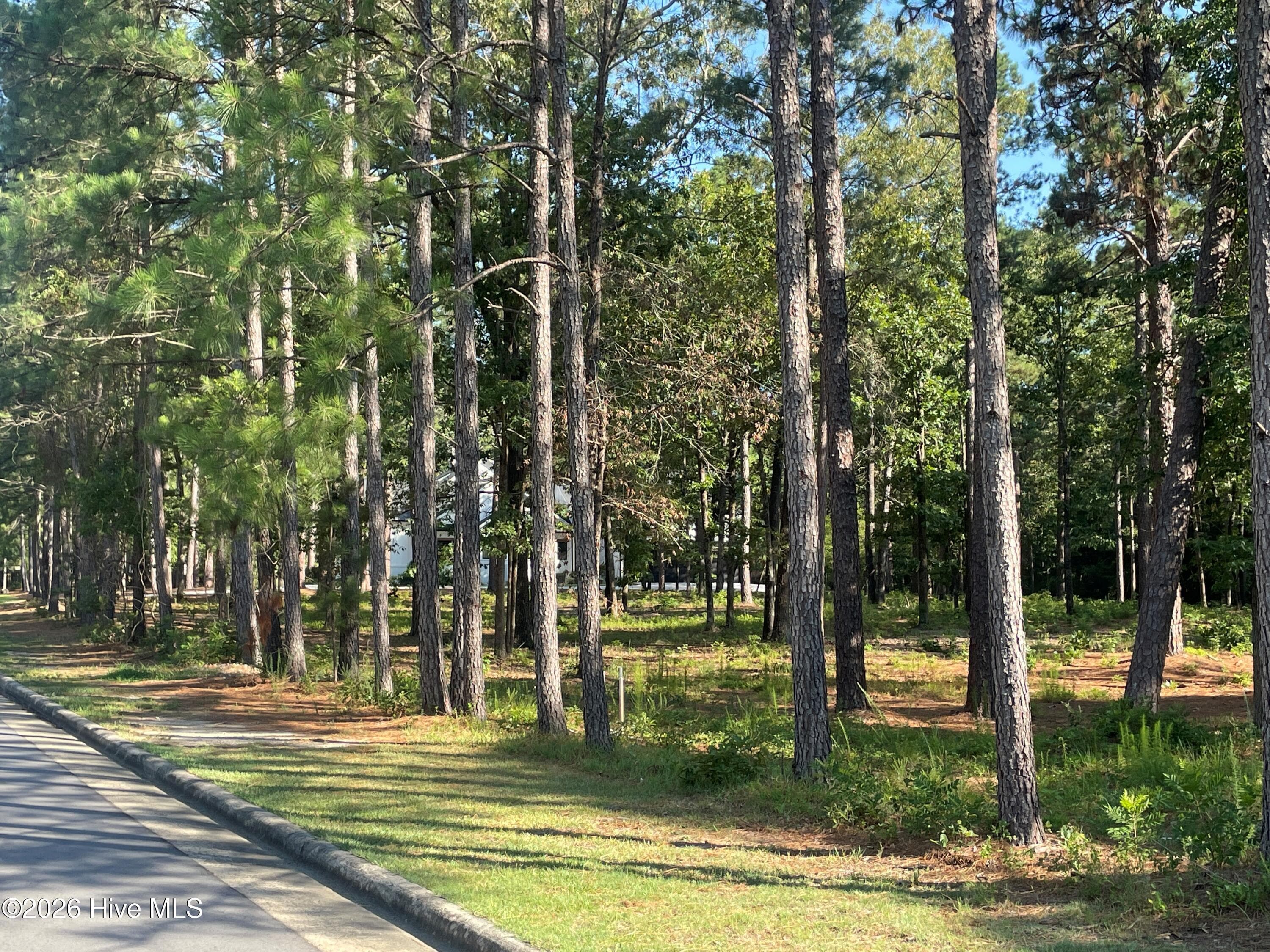 Residential Lot at 231 911R Meyer Farm Drive, Pinehurst, NC 28374, photo 2 of 13