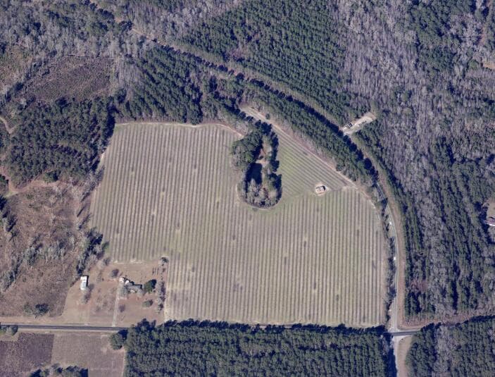 Undeveloped at 20945 Georgia 46, Pembroke, GA 31321, photo 8 of 12