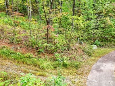 Residential Lot at Lot 31 31 Skyview Trail, Hayesville, NC 28904, Hayesville, photo 6 of 11
