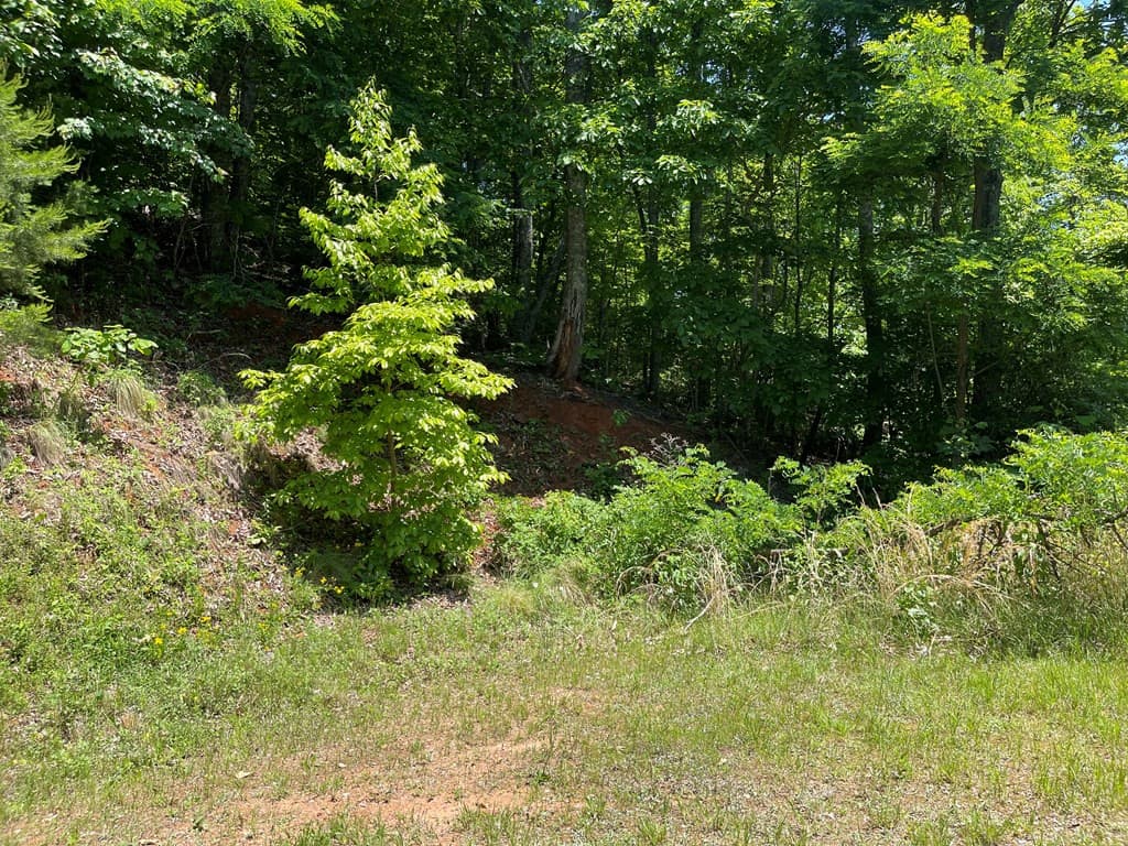 Residential Lot at Lot 33b 33B Grandview Drive, Hayesville, NC 28904, Hayesville, photo 5 of 8