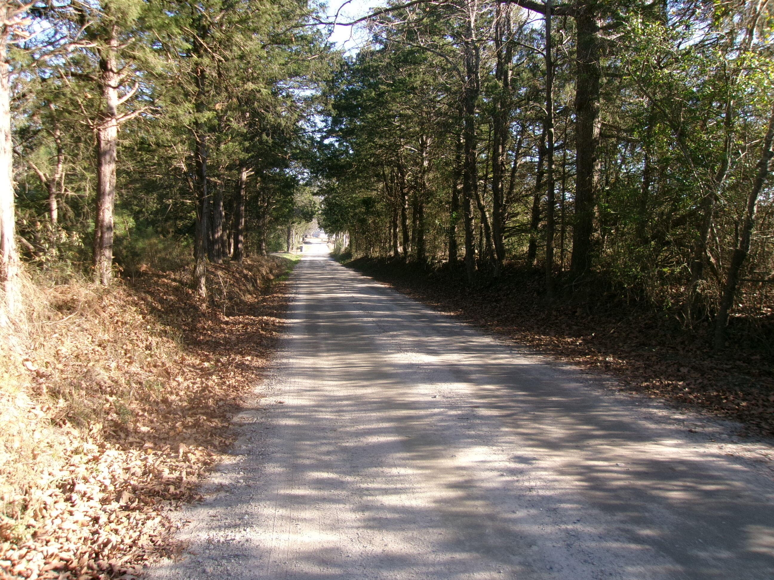 Manufactured Home at 6291 Knox Drive, Appling, GA 30802, photo 6 of 8