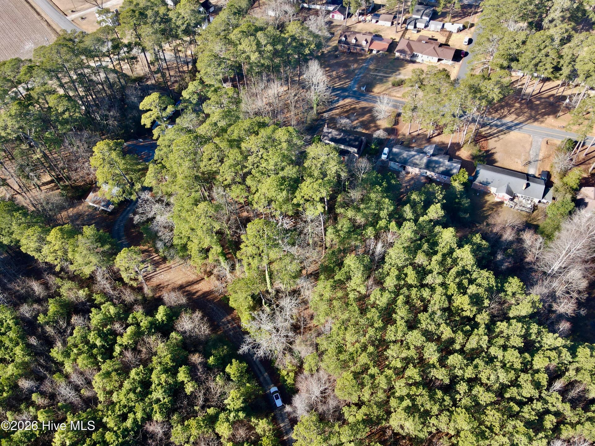 Wooded at 0 Alexander Lane, Williamston, NC 27892
