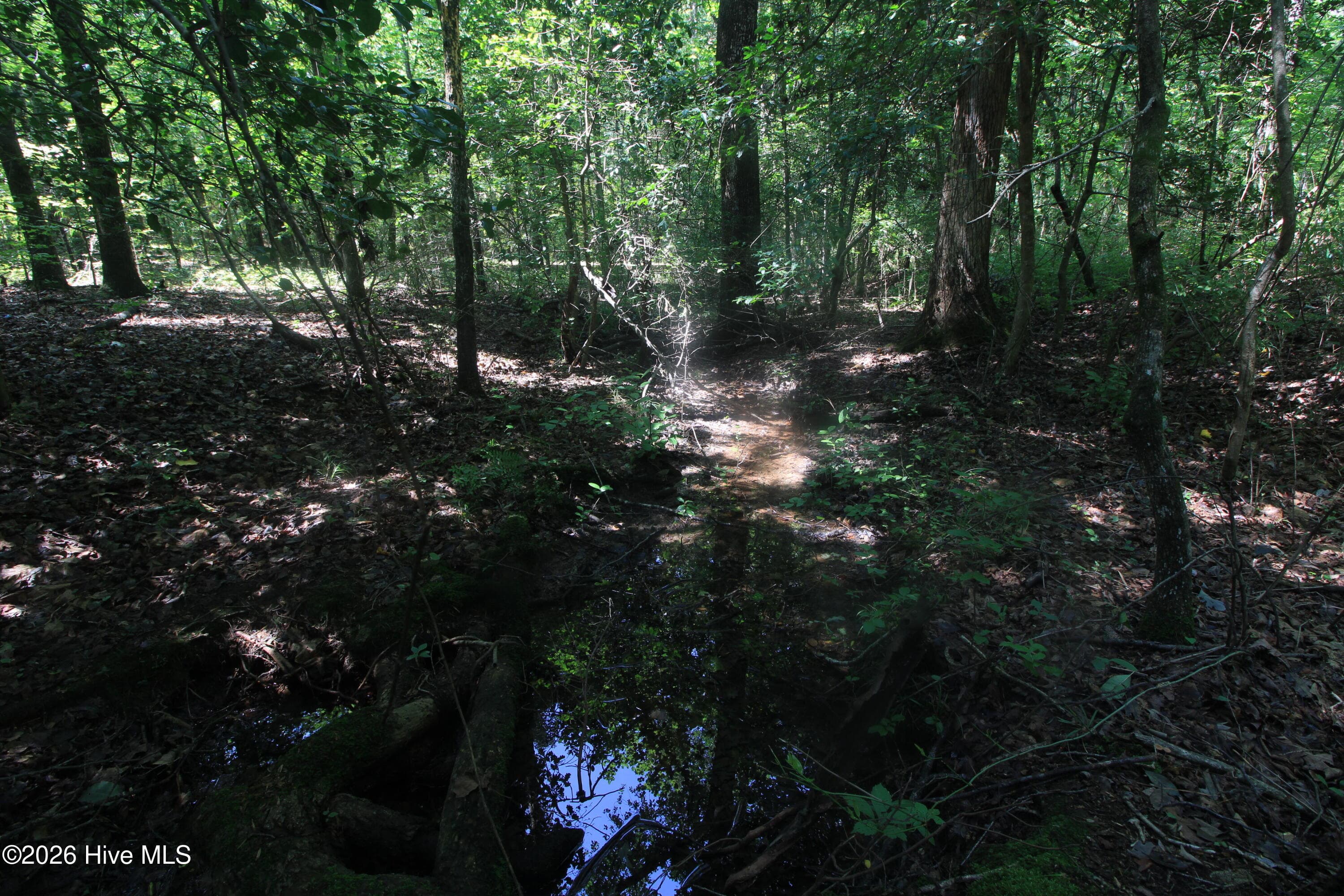 Residential Lot at 0 Crowatan Trail, Carthage, NC 28327, photo 34 of 35