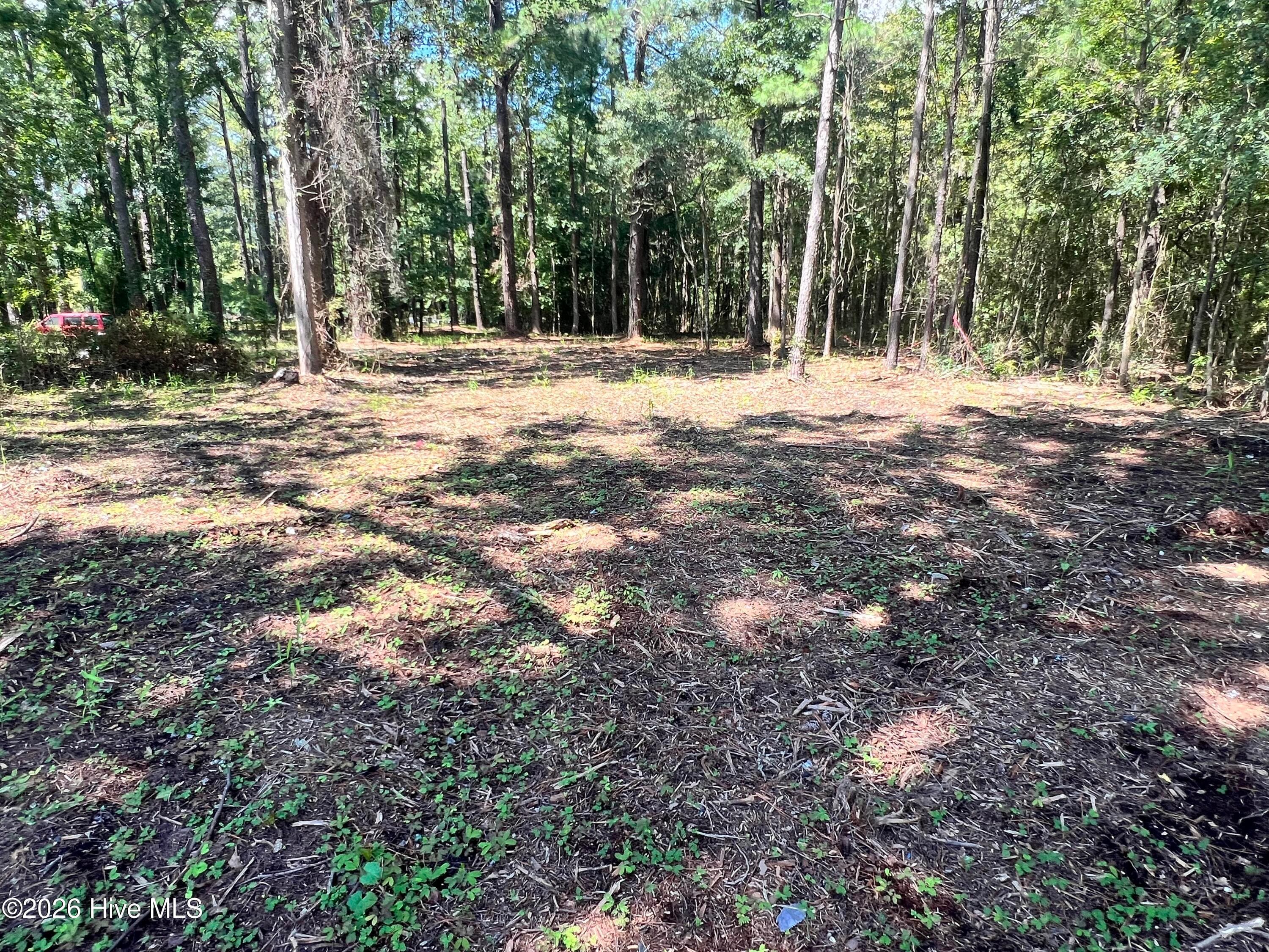 Residential Lot at Lot 1 Elm Street, Belhaven, NC 27810, photo 7 of 8
