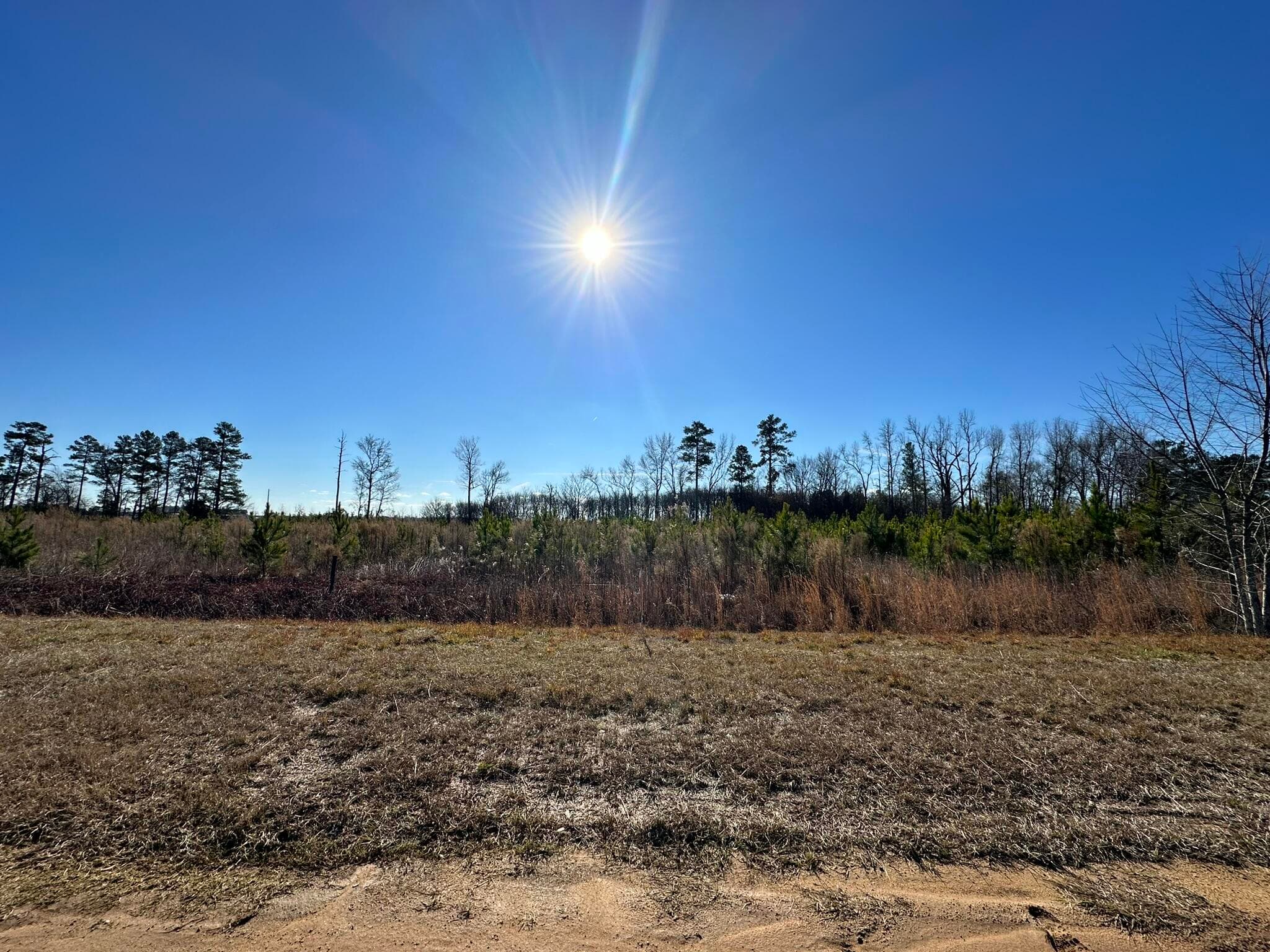 Lot 6 6 Triangle Road, Louisville, GA 30434