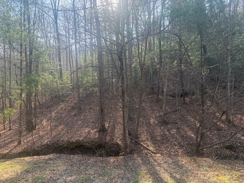 Land at Lot 12 Rainbow Valley Drive, Murphy, NC 28906, photo 3 of 16