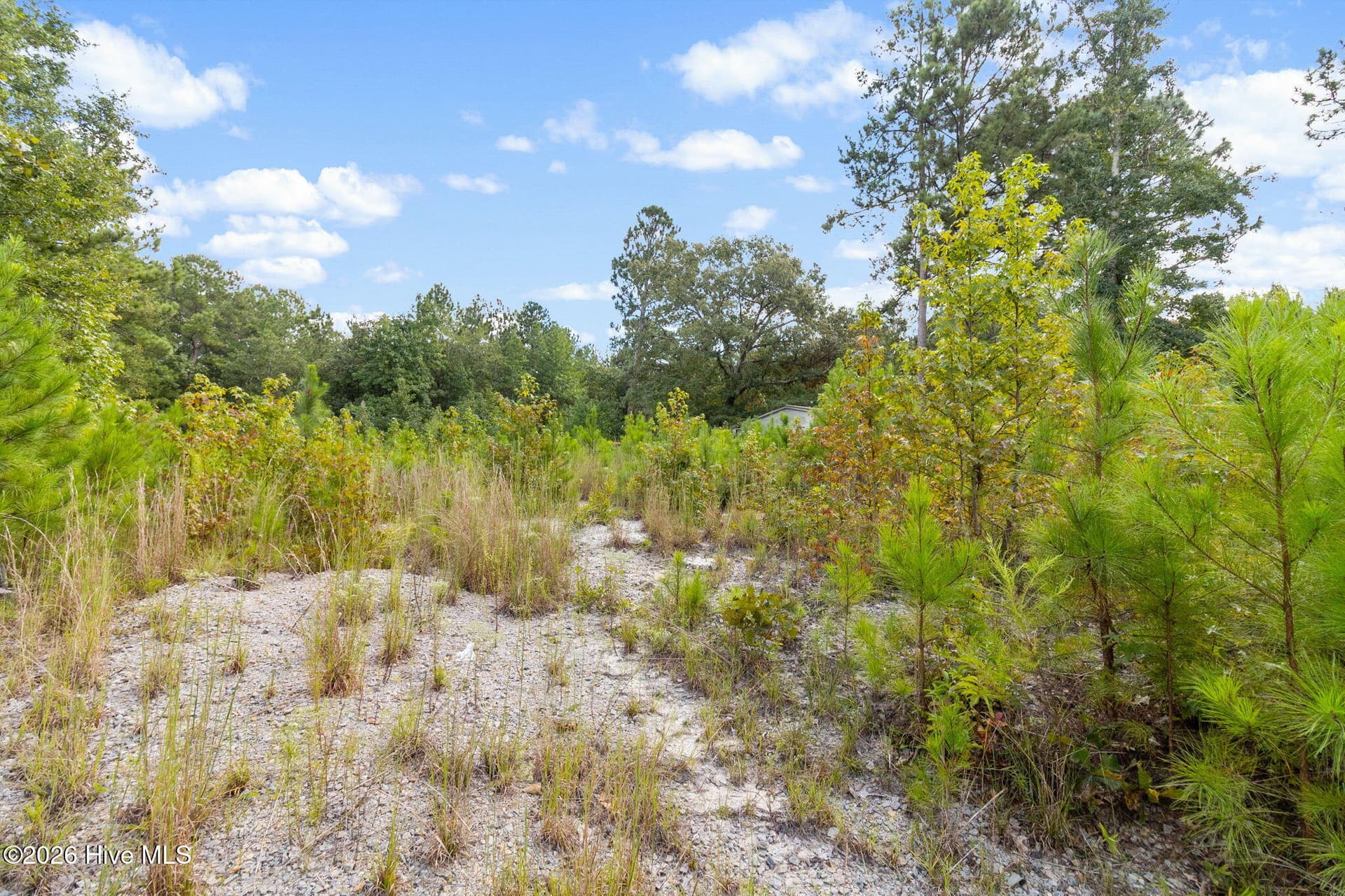 Residential Lot at 360 23 Best Street, Raeford, NC 28376, photo 12 of 12