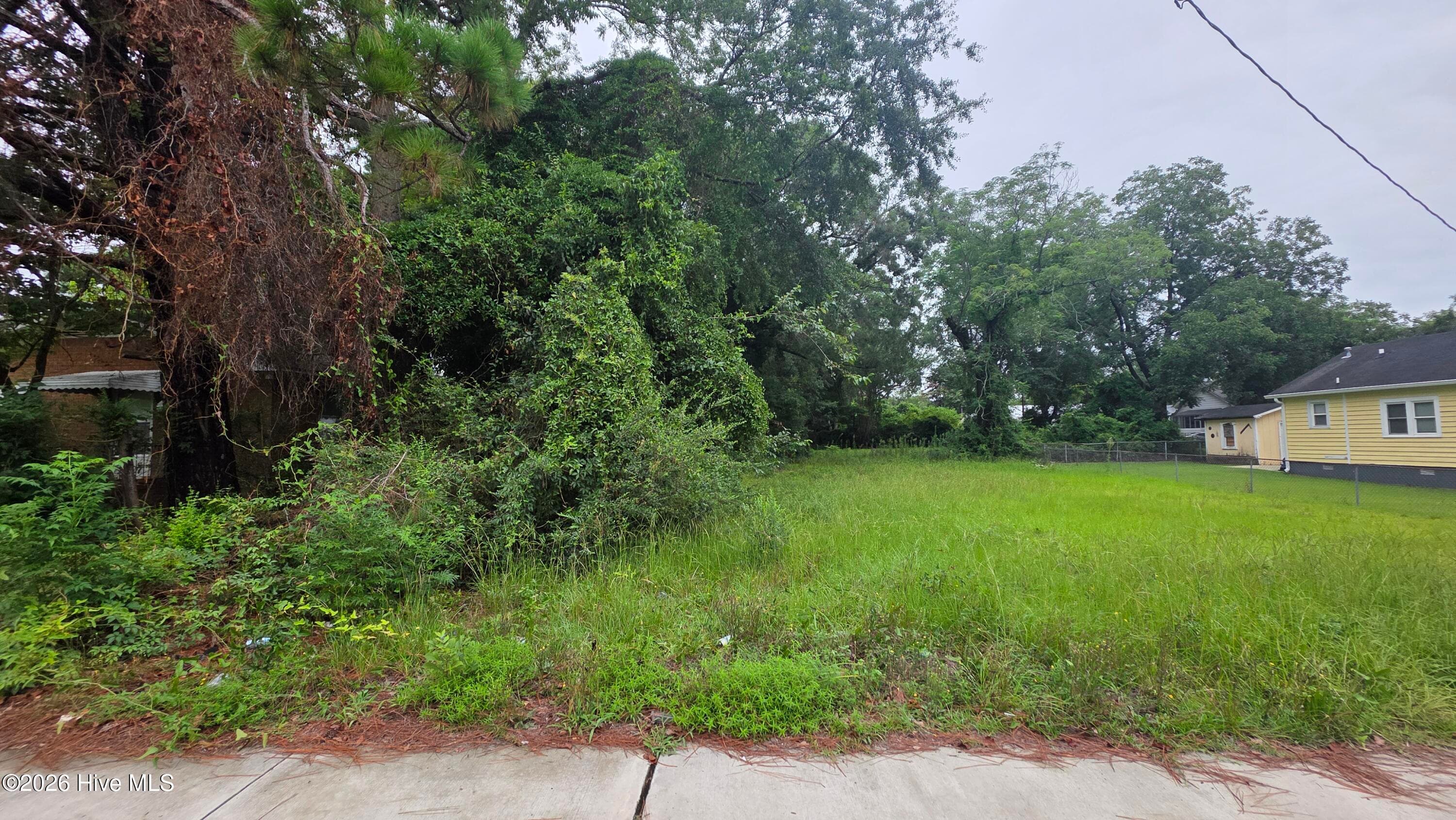 Undeveloped at 0 36 & 37 W 7th Street, Washington, NC 27889, photo 5 of 5