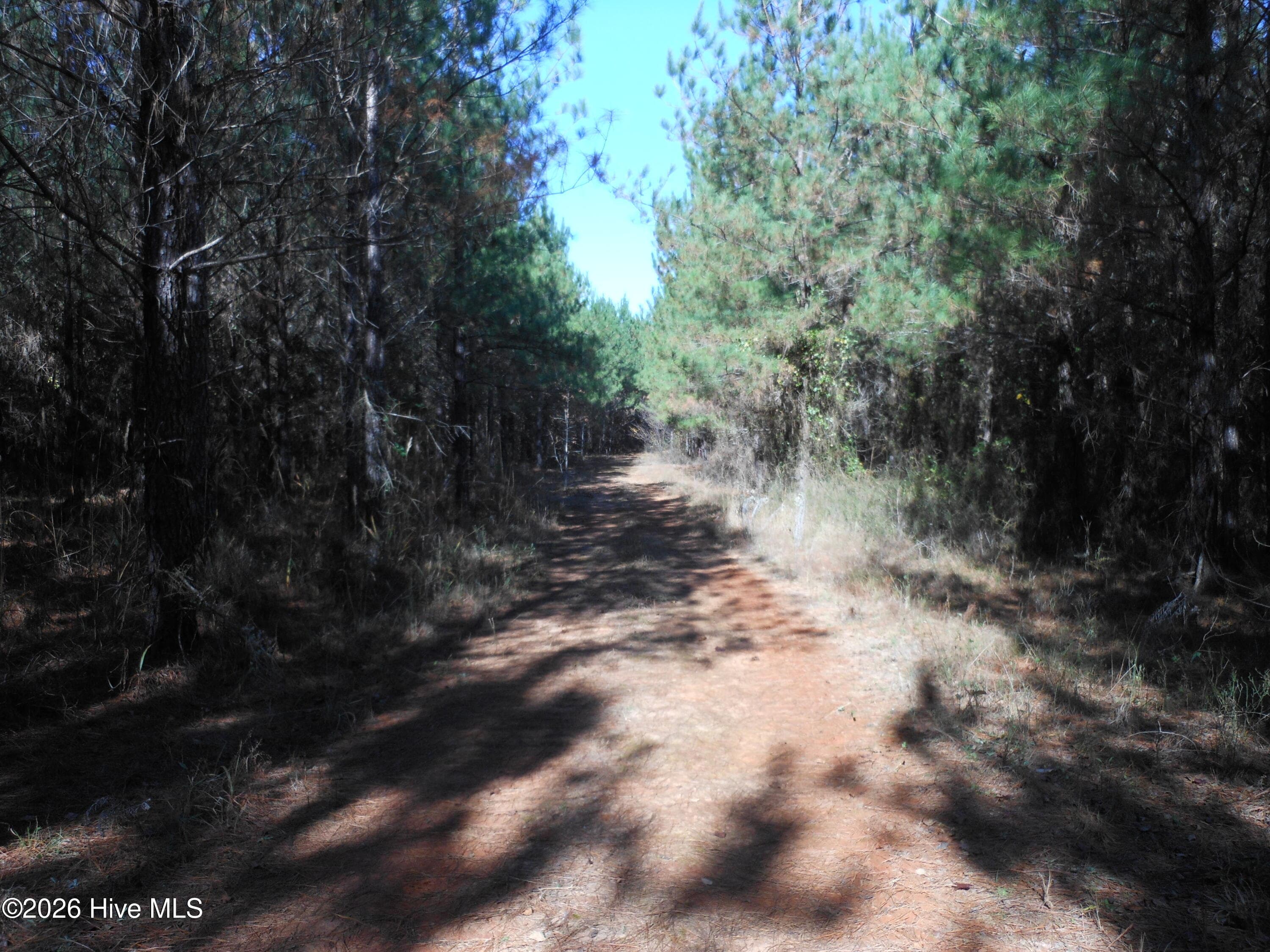Undeveloped at 1447 Greiner Circle, Hephzibah, GA 30815, photo 7 of 10