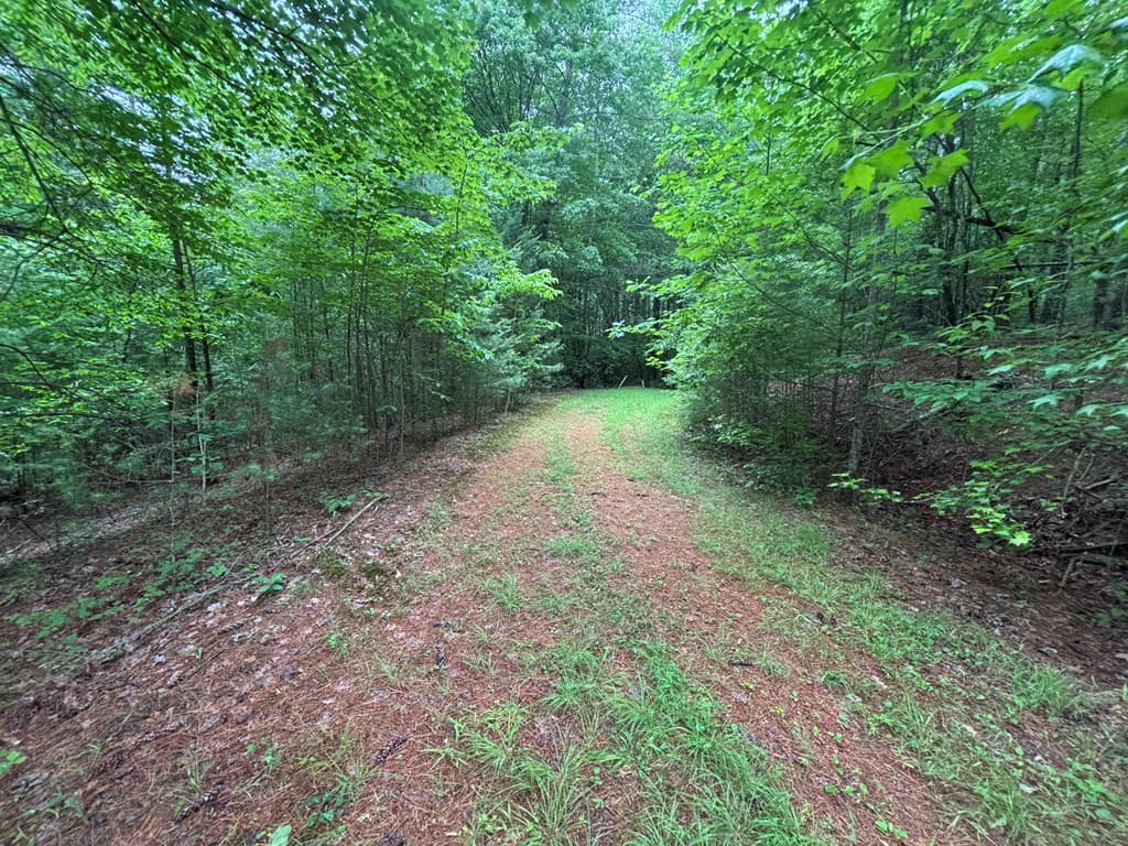 Land at Lot 11 Horse Camp Drive, Hayesville, NC 28904, Hayesville, photo 10 of 11