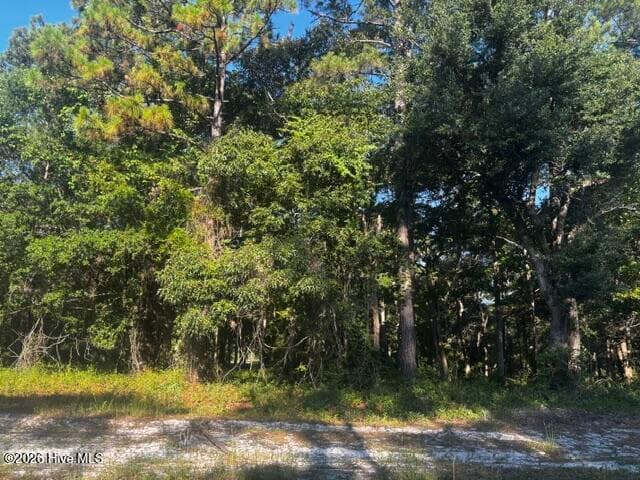 Residential Lot at 2408 Tract 2 Zion Hill Rd Road SE, Bolivia, NC 28422, photo 3 of 4