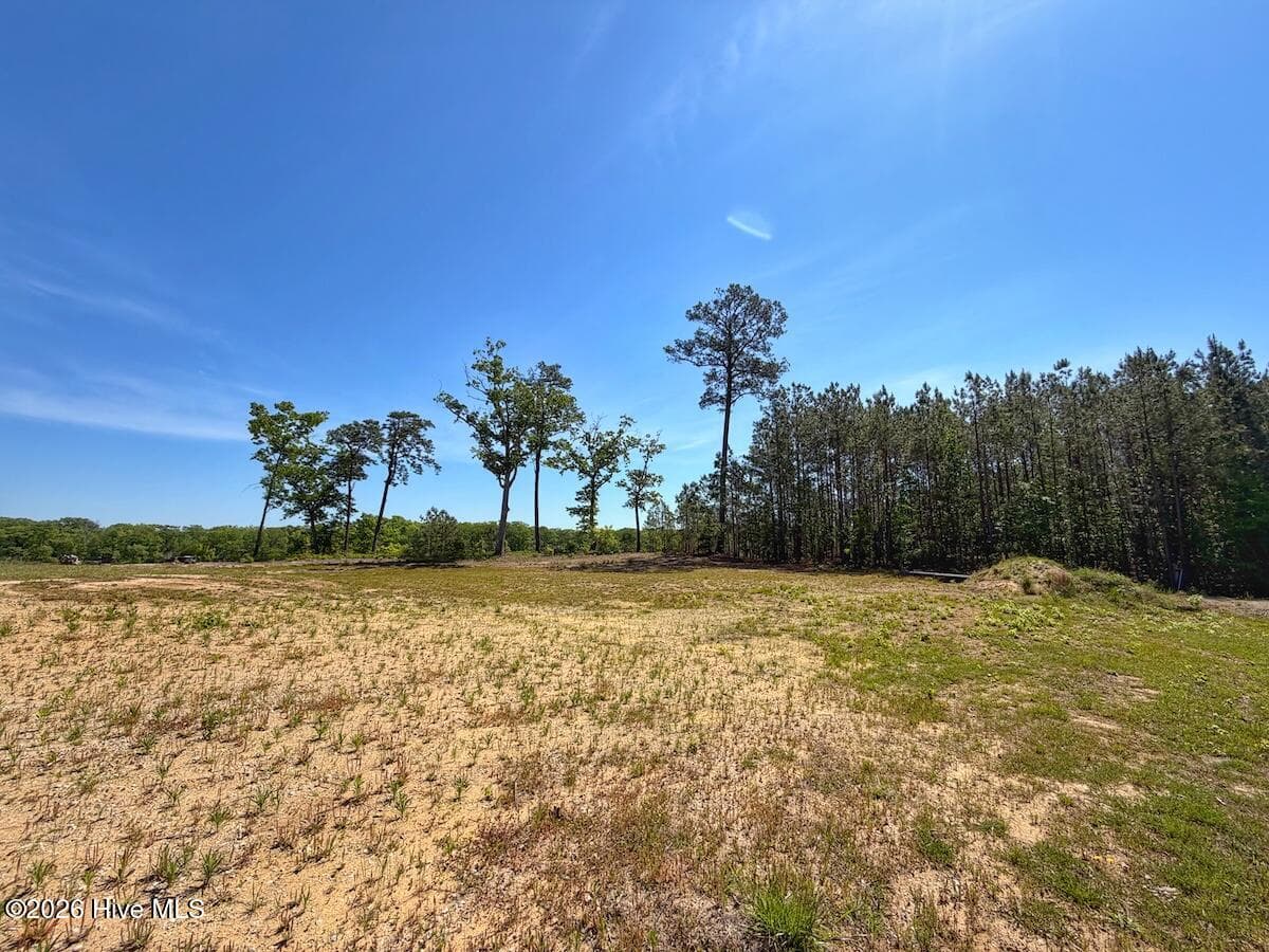 Residential Lot at 206 Riversedge Drive, Winton, NC 27986, photo 3 of 6