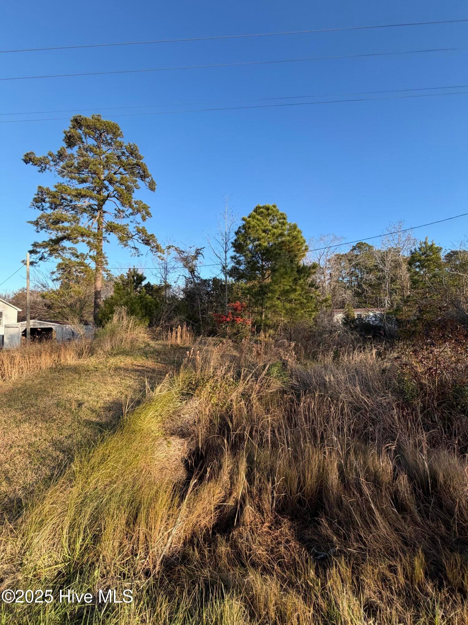 Wooded at 0 Sr 1730 Old Pamlico Beach Road West, Belhaven, NC 27810, photo 9 of 12