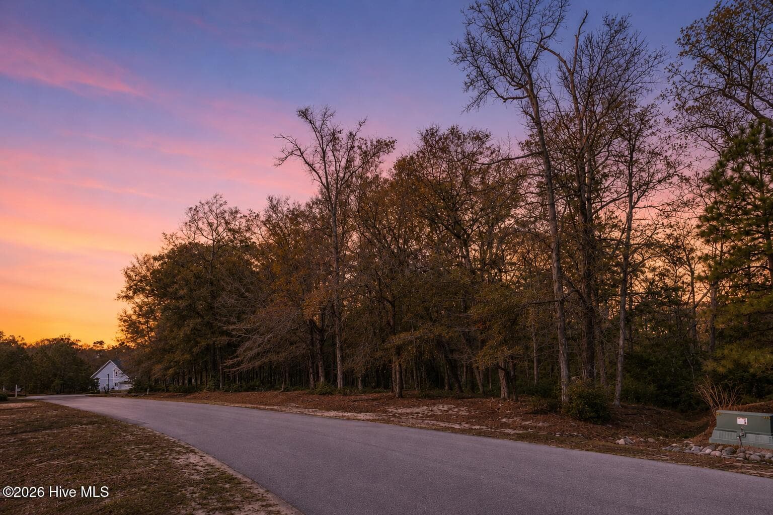 Wooded at 3382 Eagle Crest Drive SW, Supply, NC 28462, photo 5 of 35